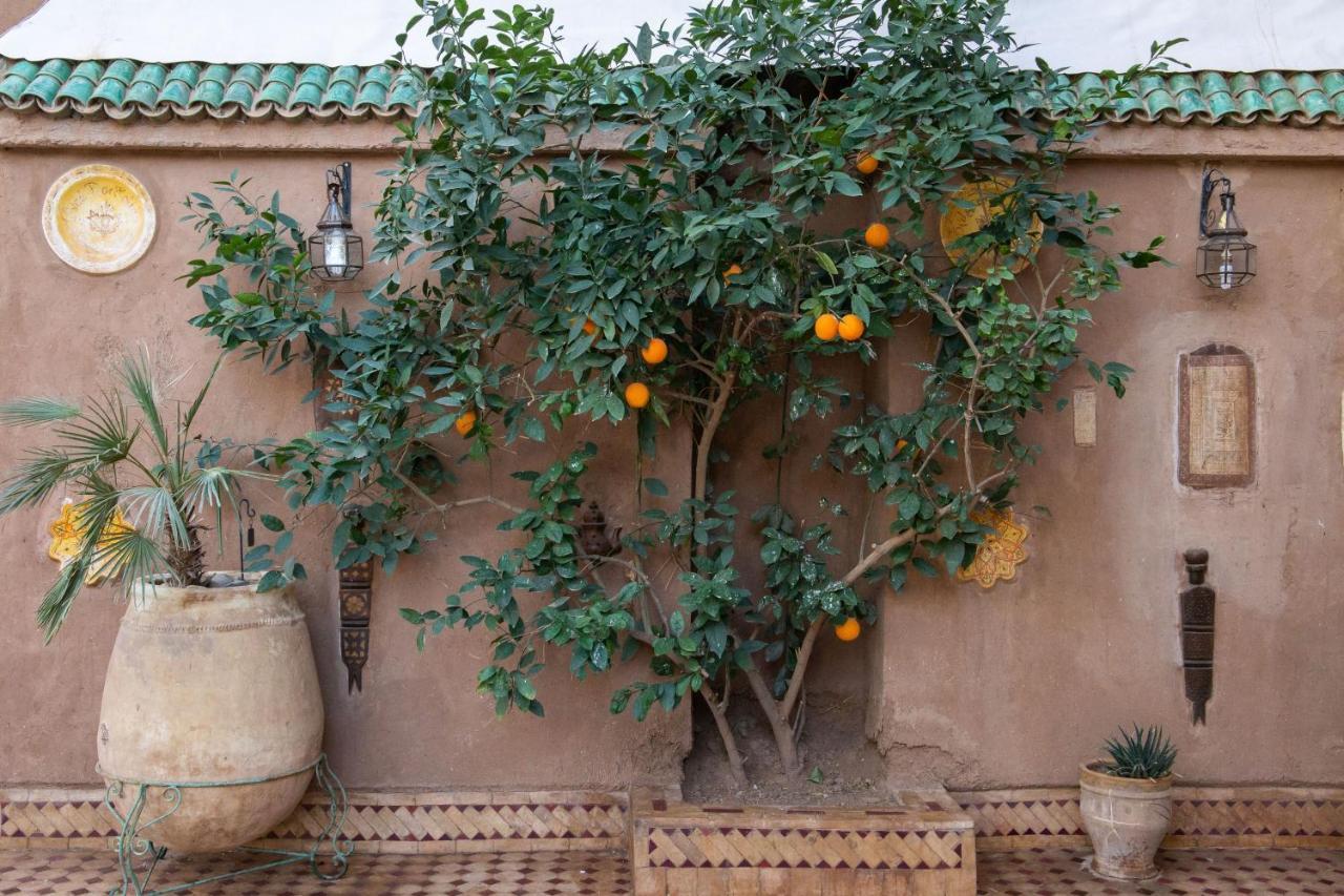 Riad Dar Sofian Zagora Exterior photo